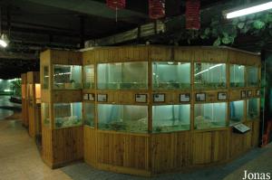 Terrariums et paludariums pour tortues aquatiques et terrestres