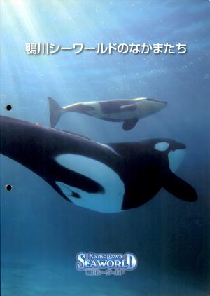 Guide 2011