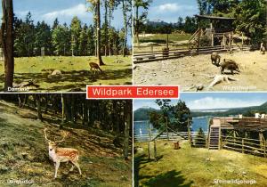 Carte postale