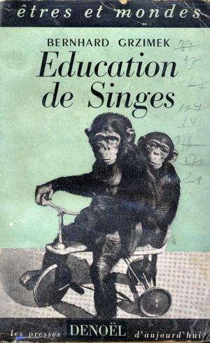 <strong>Education de Singes</strong>, Bernhard Grzimek, Denoël, Paris, 1952