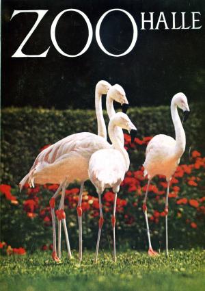 Guide 1971