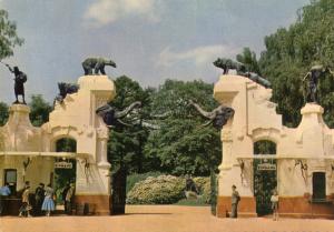 Carte postale