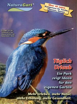 Guide env. 2022