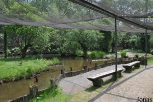 Volière des oiseaux originaires des zones marécageuses
