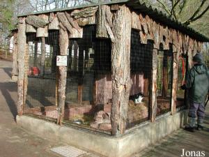 Cage des rongeurs