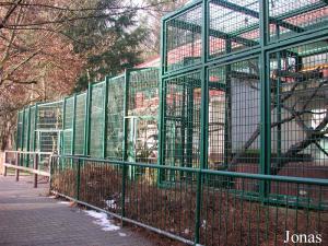 Cages extérieures des singes