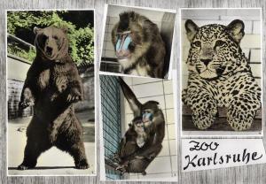 Carte postale