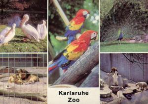 Carte postale