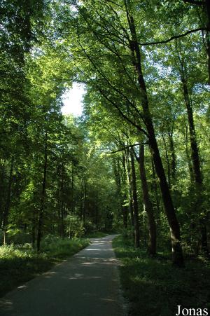 Tierpark Oberwald