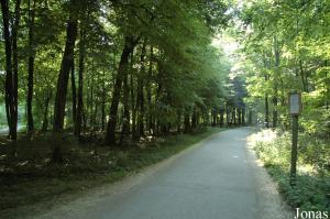 Tierpark Oberwald