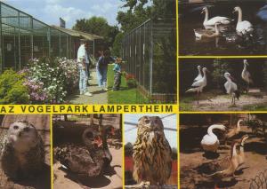 Carte postale