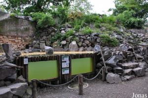 Installation des manchots de Humboldt