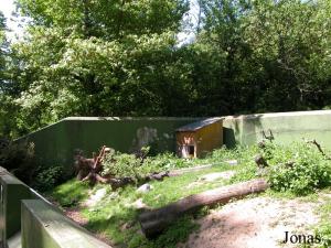 Ancienne fosse des ours, comblée et occupée par des porcs-épics