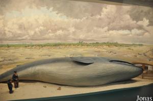 Exposition "Im Reich des Wassermanns"
