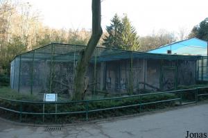 Cages des panthères de Chine