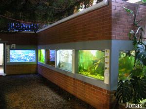 Aquariums