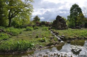 Un des enclos des géladas