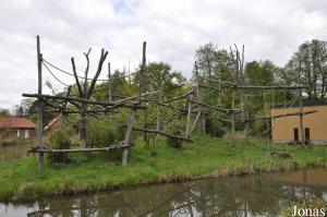 Île des gibbons à mains blanches