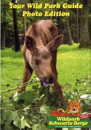 Guide 2006 - Edition anglaise - 1th edition