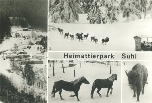 Carte postale