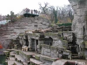 Fosse des ours blancs