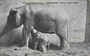 Carte postale