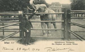 Carte postale