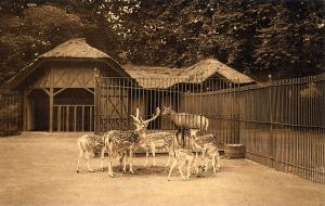 Carte postale