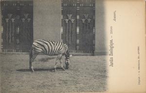 Carte postale