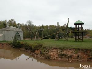 Installation des chimpanzés