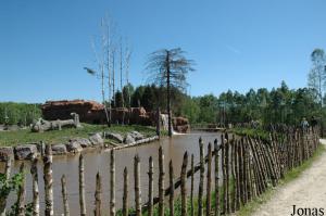 Installation des orangs-outans