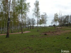 Zone pentue de l'enclos africain du safari parc