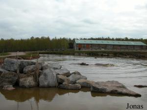 Plan d'eau dans l'enclos africain du safari parc