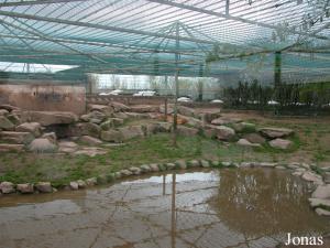 Enclos des tigres