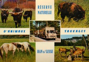 Carte postale