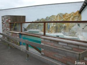 Bassin des manchots