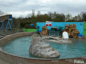 Bassin des otaries