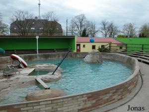 Bassin des otaries