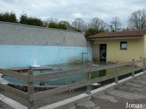 Bassin des phoques