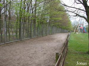 Enclos des poneys