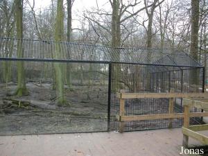 Enclos des loups communs