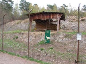 Enclos des bouquetins des Alpes