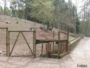 Enclos des sangliers