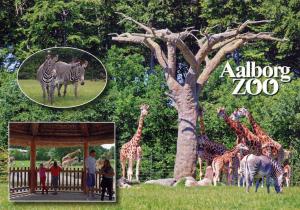 Carte postale