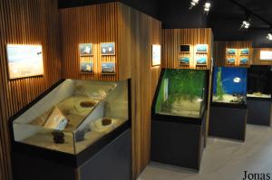 Aquarium