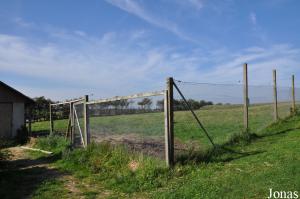 Enclos des chameaux et des antilopes cervicapres