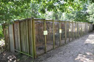 Diverses volières pour petits psittacidés