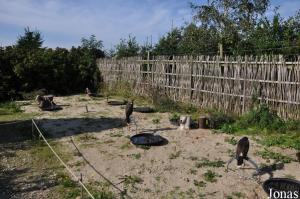 Zone de présentation des rapaces de spectacle