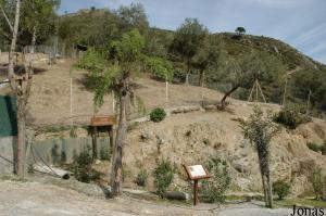 Enclos des élands du Cap et des cobes à croissant