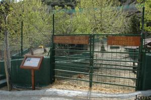 Enclos des hippopotames amphibies